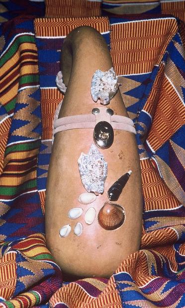 Return to Portfolio Page